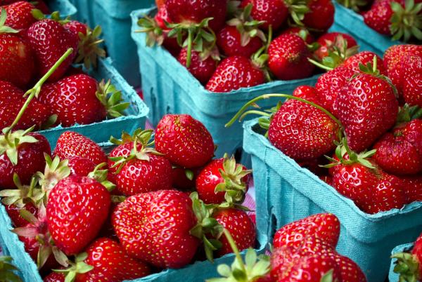 Vancouver Farmers Market