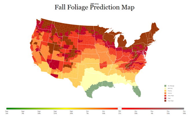 2024 Fall Foliage Prediction Map