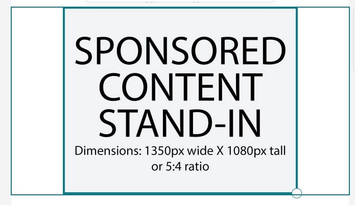 Newsletter Ad Dimensions 2024