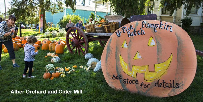 Alber Orchard and Cider Mill