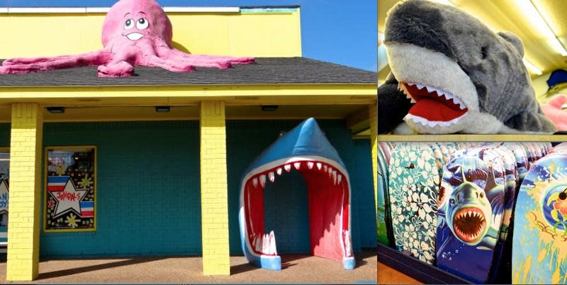 south padre island shark mouth gift shop 🦈🦈 in 2023