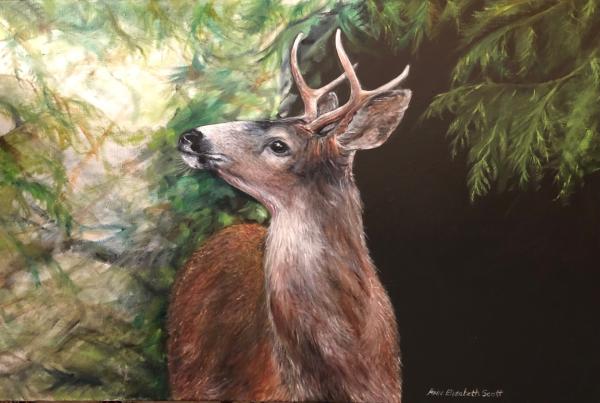 "Winter Buck"