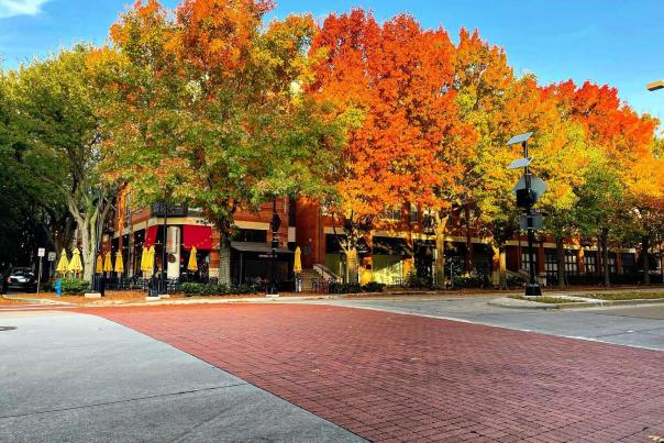 fall astoria caffe