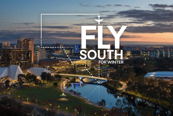 Fly South 3