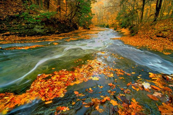 Cuyahoga Valley National Park river