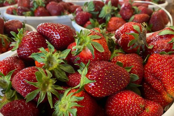 Strawberries at Market