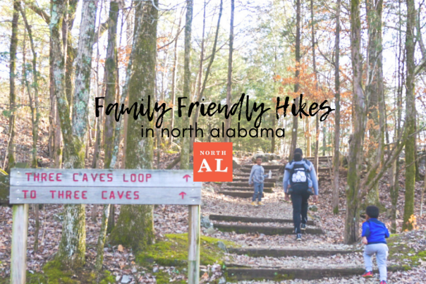 family friendly hikes blog post cover