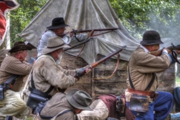 Mule Day