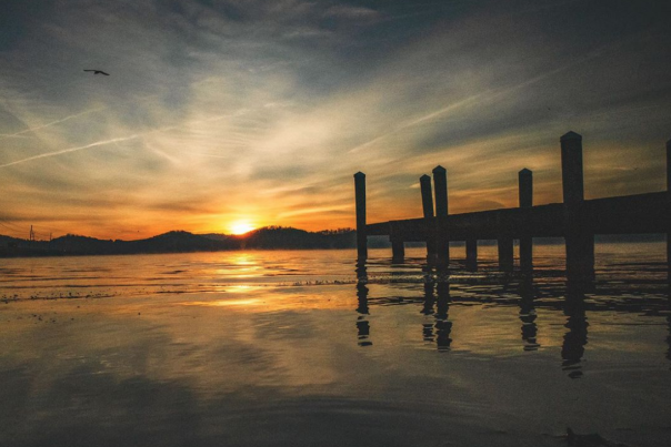 lake guntersville robert posey