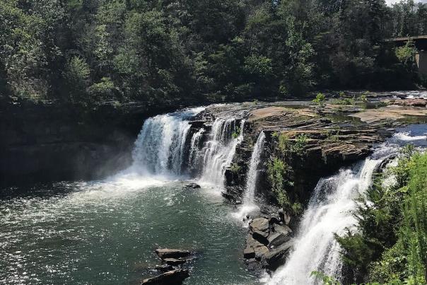 little river falls waterfall with trees