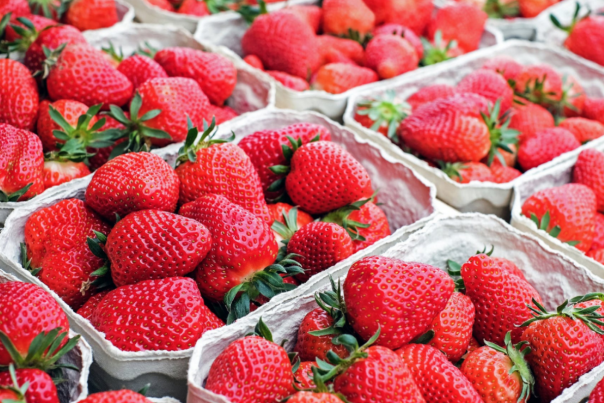 moulton strawberry festival