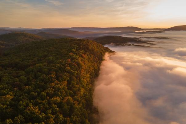 Allegany-Aerial-Beauty-Shot