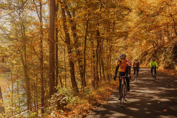 Road-Cycling-in-Fall-in-Allegany-County-MD