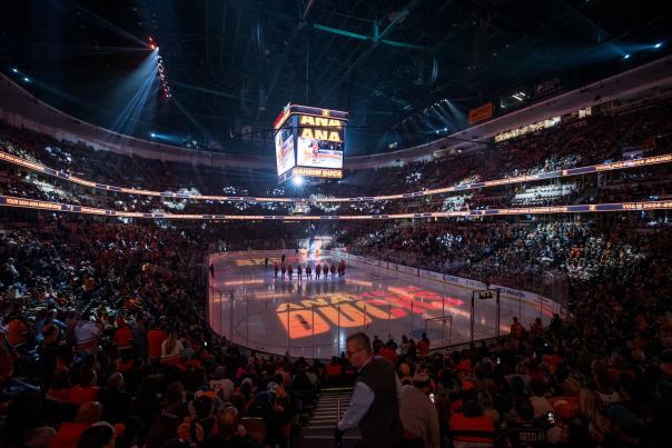 Anaheim Ducks NHL Game in Anaheim, CA Fan View