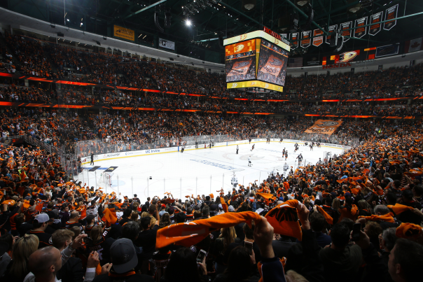 Honda Center Ducks Game