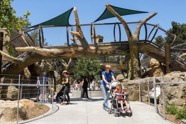 Family Friendly Things to do in Anaheim, OC Zoo