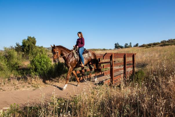Peters Canyon Horse Back Riding near Anaheim, CA