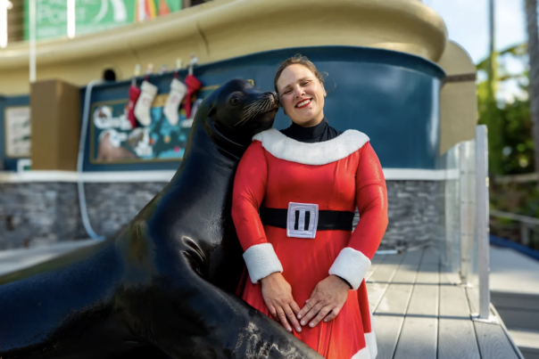 Seaworld Holiday