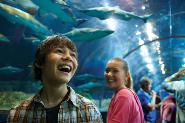 Seaworld San Diego