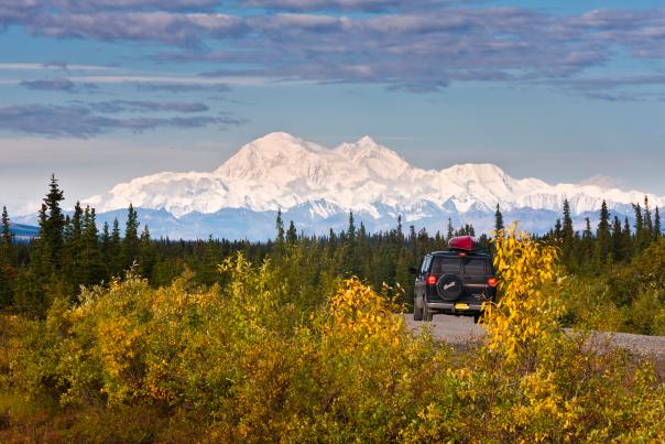 View of east and south face of Denali with fall colors