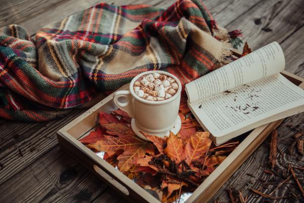 Cozy in Fall, Hot Cocoa, Book, Blanket
