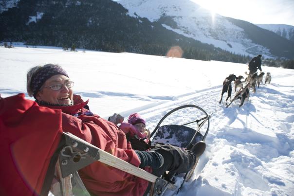 Dog sledding in Anchorage