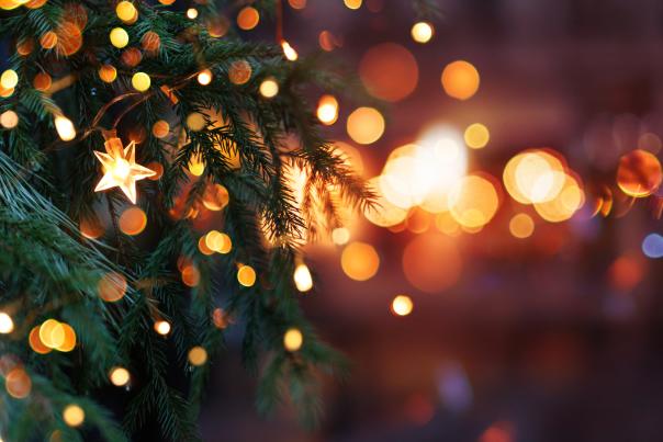 Visit Anchorage 2024 Gift Guide Image 2