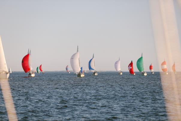 Colorful sailboats on the bay