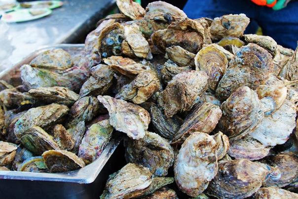 oysters-at-oyster-roast