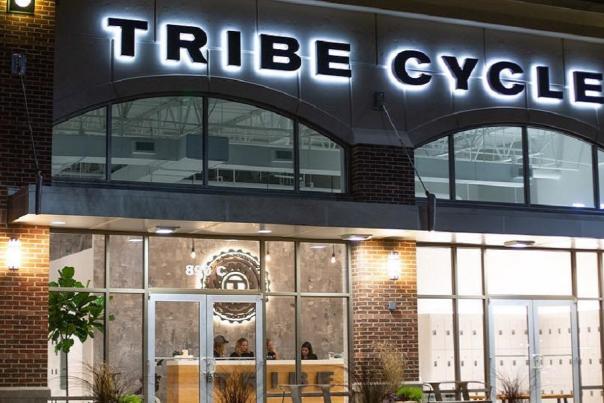 Tribe Cycle-Setting the Pace