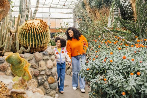 Mom and Daughter explore the cactus area inside the University of Michigan Matthaei Botanical Gardens greenhouse.