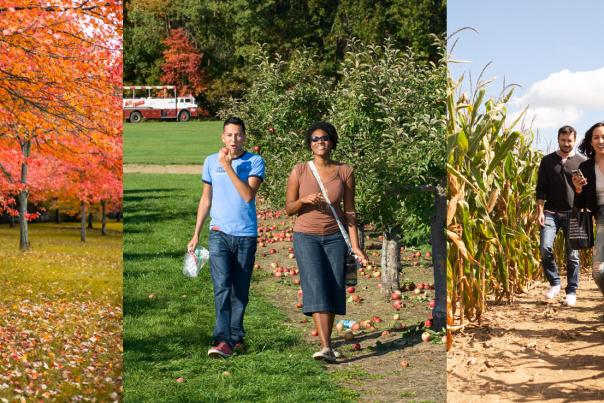 Three photos of people enjoying fall activities