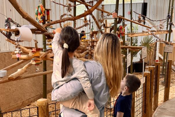 Woman faces away from camera, holding her child in her arms as they point towards an animal enclosure full of wooden ledges and perches. Another child stands beside them looking in the same direction.