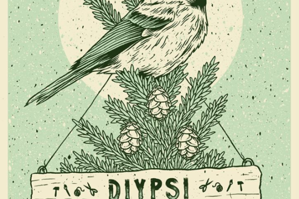 Diypsi 2018