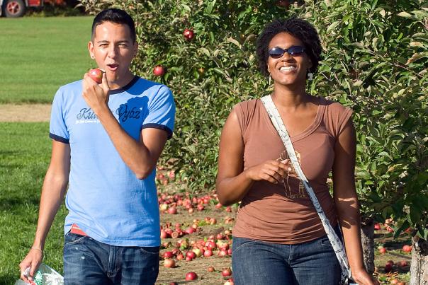 Fall Fun Wiard's Orchard