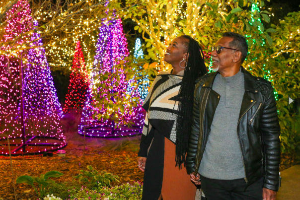 Winter Wonderlights