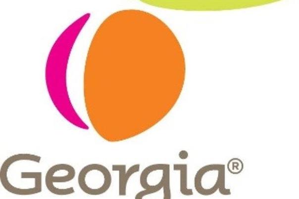explore-georgia-logo