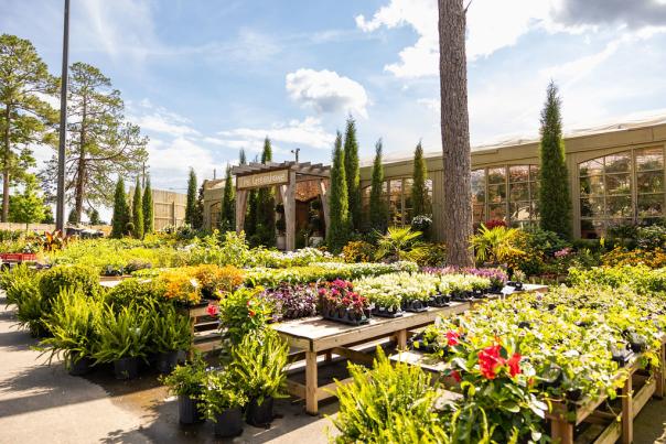 10 Places to Spend a Quiet Weekend in Auburn-Opelika