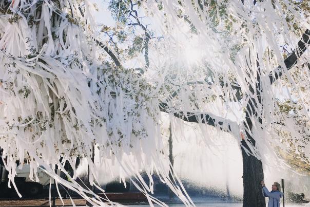 Rolling Toomer's