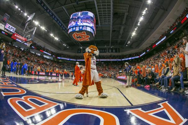 How to Make the Most of Your Basketball Stay in Auburn-Opelika