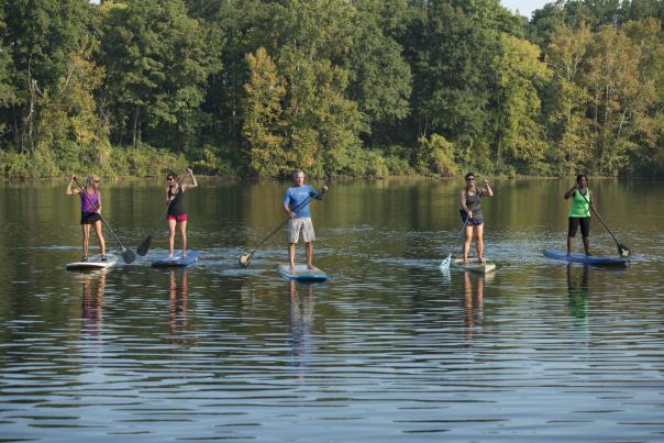 Water, Paddle Boarding, Outdoors
