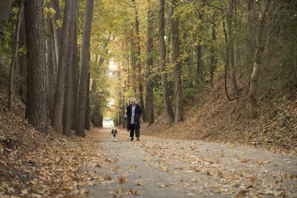 Augusta Greeneway, fall, dog