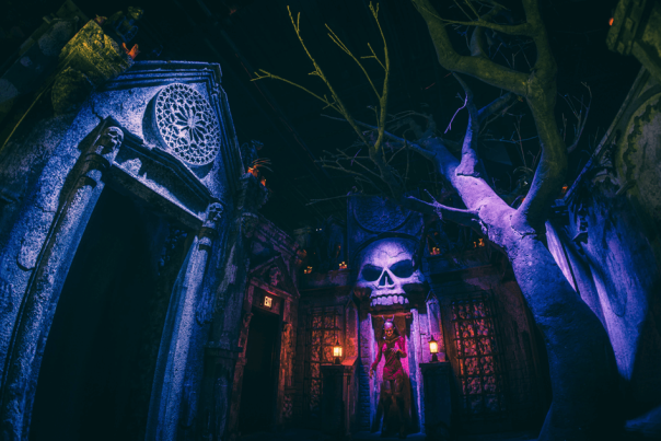 Mind Trap Escape Room - Vampires Room