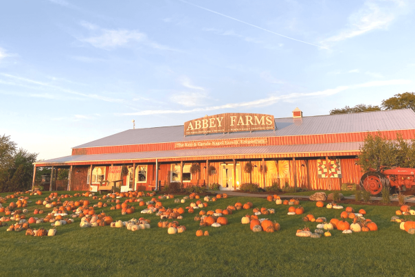 Destinations for fall family fun with apple & pumpkin picking in Chicagoland - EnjoyAurora.com - the Aurora Area of Illinois