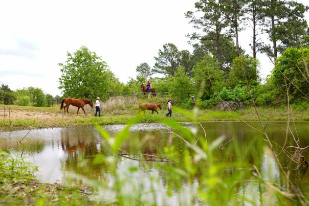 McKinney Roughs Nature Park. Courtesy of Visit Bastrop