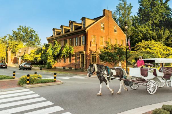 Jonesy with McLean House