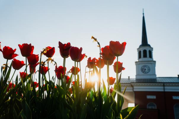 spring flowers in front of a church