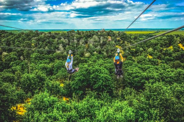 Zippin' thru the pines