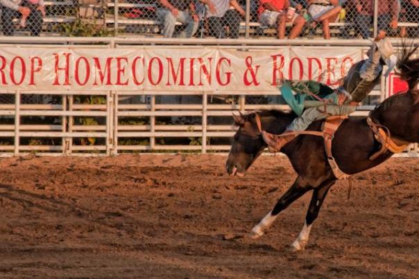 homecoming & rodeo