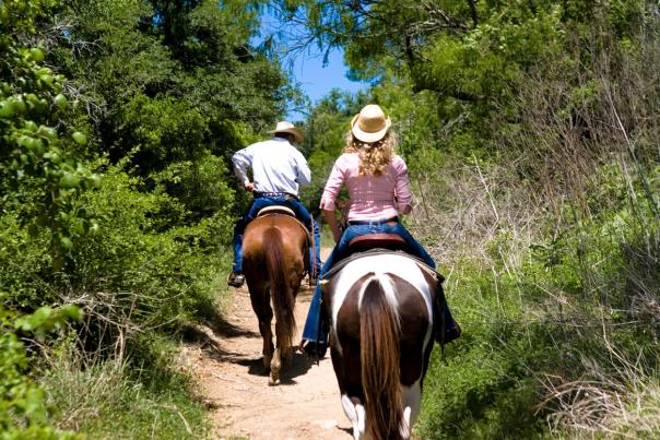 Horseback Riding at Hyatt